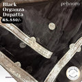 Black Organza Dupatta with Silver Motifs