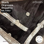 Black Organza Dupatta with Silver Motifs