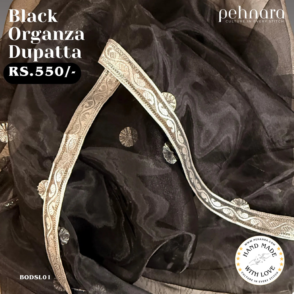 Black Organza Dupatta with Silver Motifs