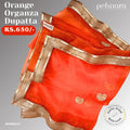 Orange Organza Dupatta with Gold Border