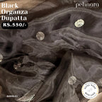 Black Organza Dupatta with Silver Motifs