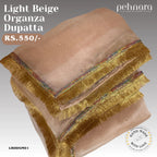 Light Beige Organza Dupatta with Gold Fringe