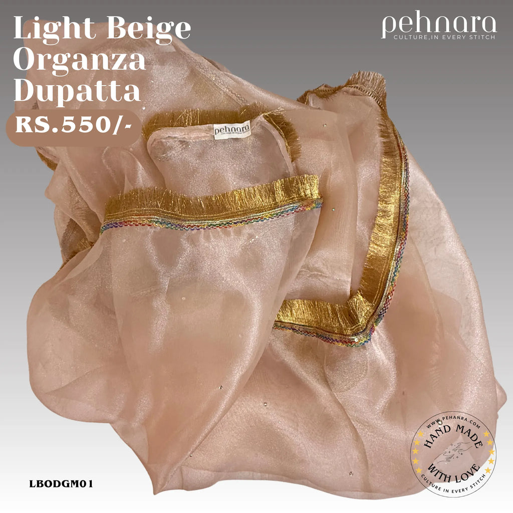 Light Beige Organza Dupatta with Gold Fringe