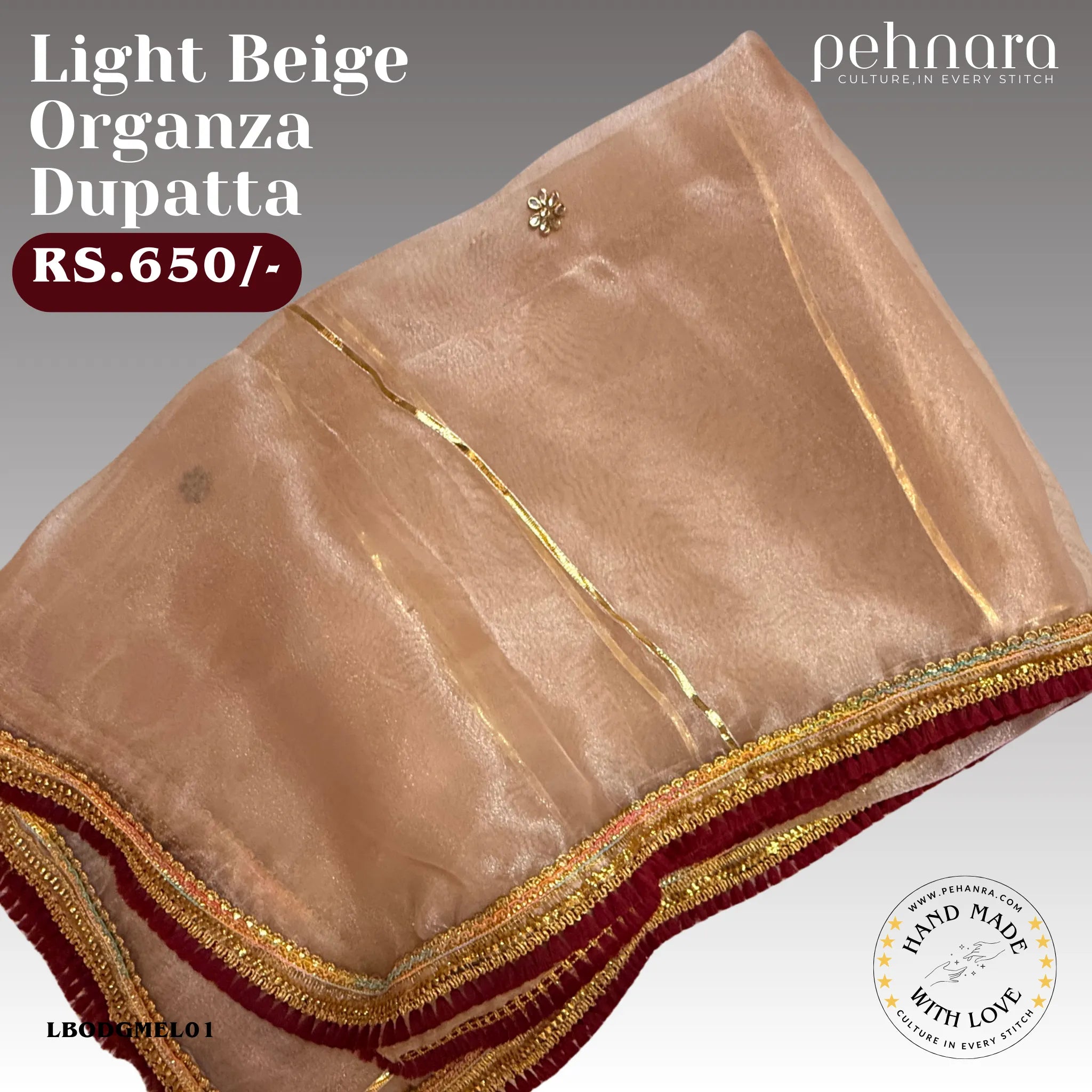 Light Beige Organza Dupatta with Embellished Border