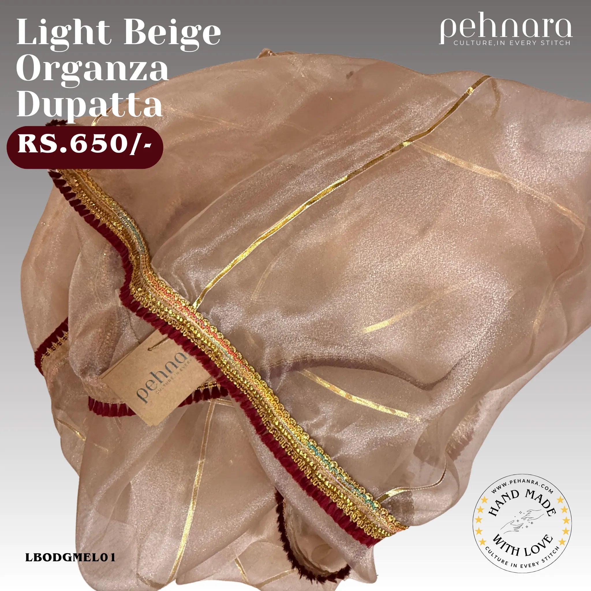 Light Beige Organza Dupatta with Embellished Border