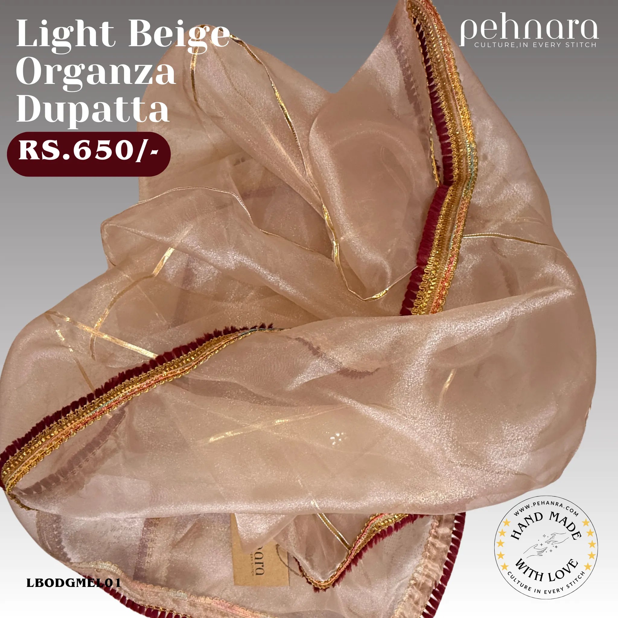 Light Beige Organza Dupatta with Embellished Border