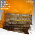 Yellow Organza Dupatta - Heavy Border