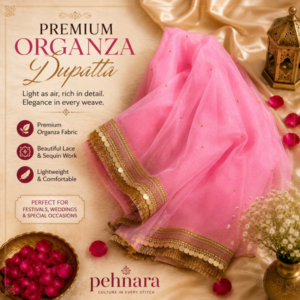 Flamingo Pink Organza Dupatta | Gold Coin Border | Pehnara
