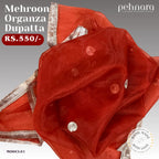 Mehroon Organza Dupatta with Silver Border